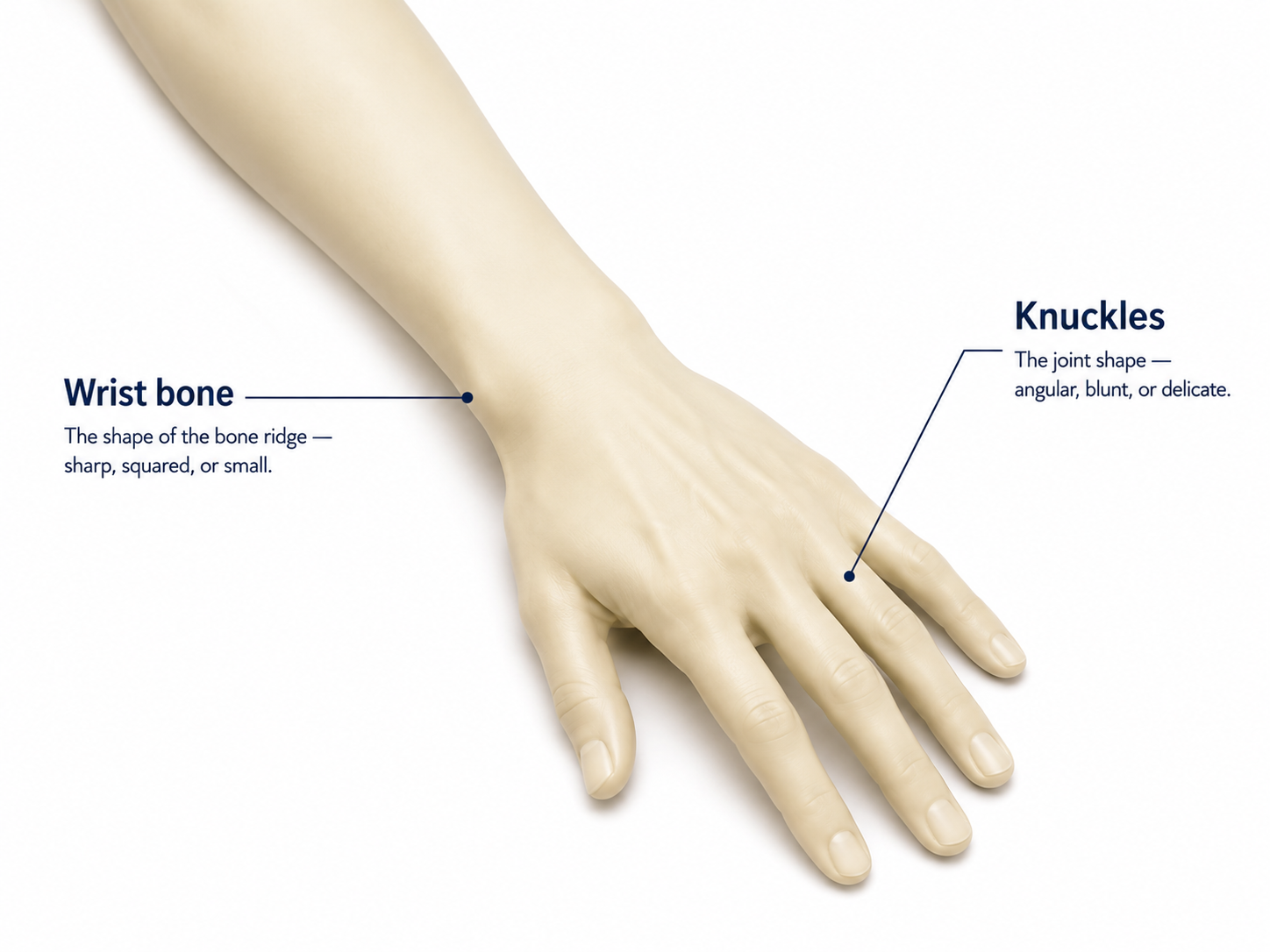 Side-by-side reference: wrist and hand reads across the four bone shapes — sharp, blunt, delicate, rounded.