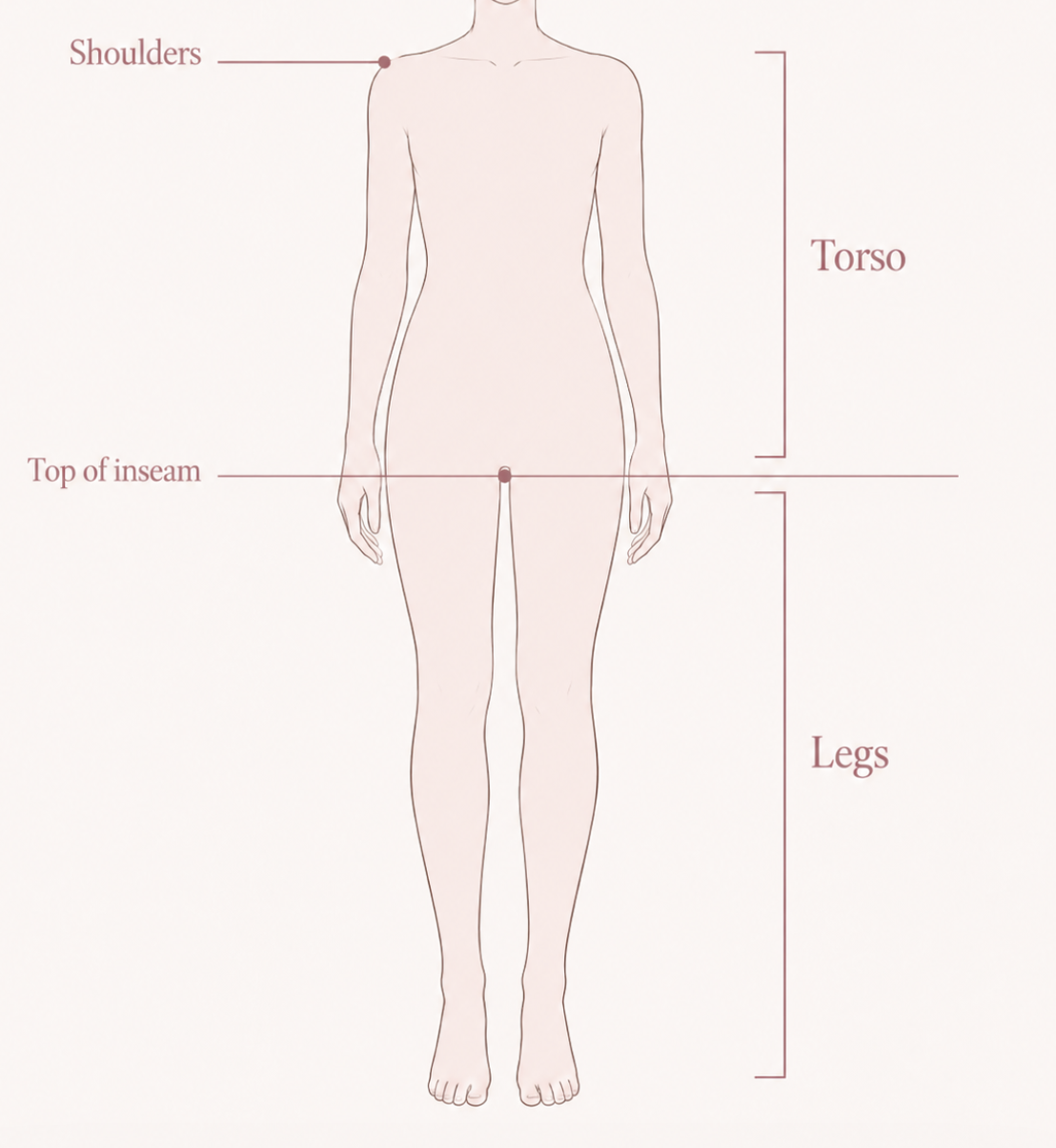 Body diagram showing torso (shoulders to top of inseam) and legs (top of inseam to floor)